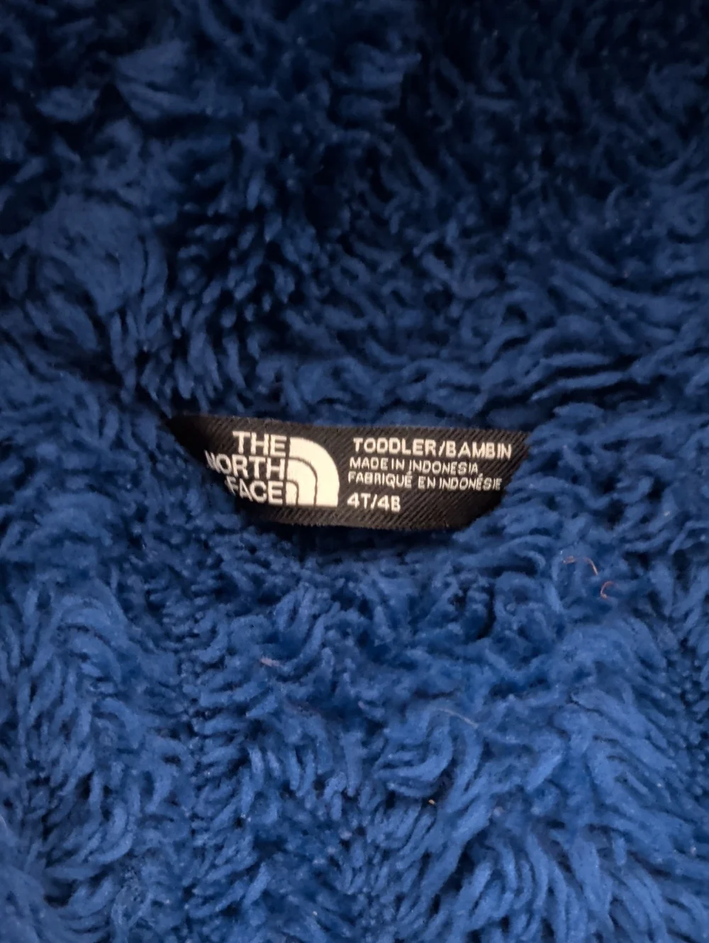 The North Face Royal Blue Puffer Jacket with Hood
